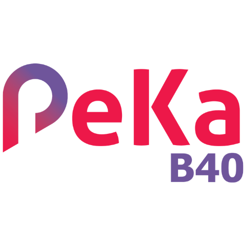 PeKa B40 Logo